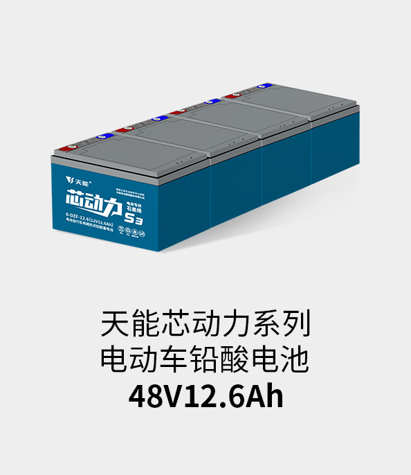 天能電池48v12ah